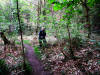 William McBain in Kinver Edge woods - May 2013