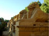 the majestic ram-headed shinxes leading to the first pylon of the Temple of Karnak