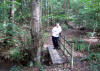 William (Bill) McBain walking in Bluebell Wood, Halesowen on 7th September 2011