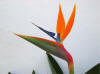 taken in the Villa's garden
